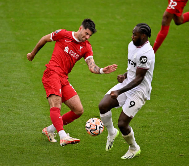 加克波作为 加克波作为